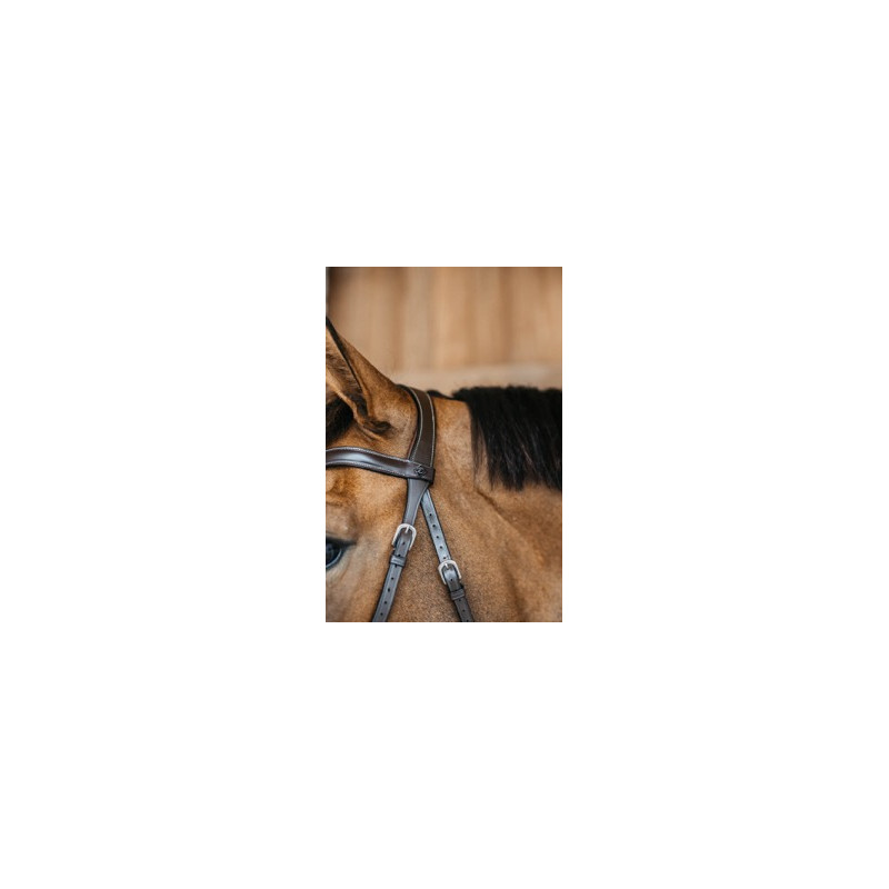 Bitless bridle - Dy'on