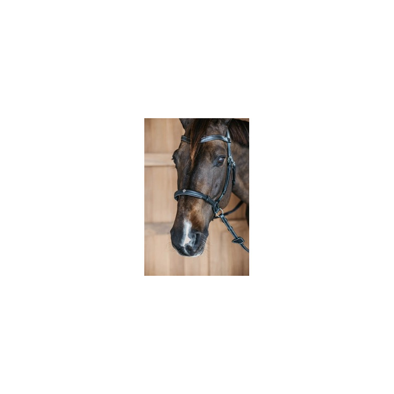 Bitless bridle - Dy'on