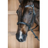 Bitless bridle - Dy'on