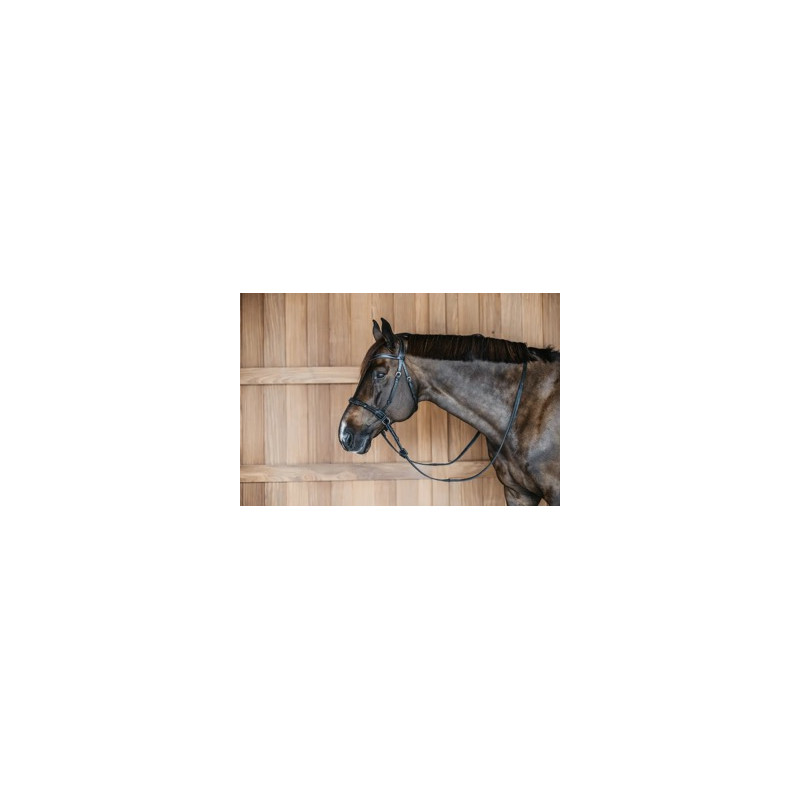 Bitless bridle - Dy'on