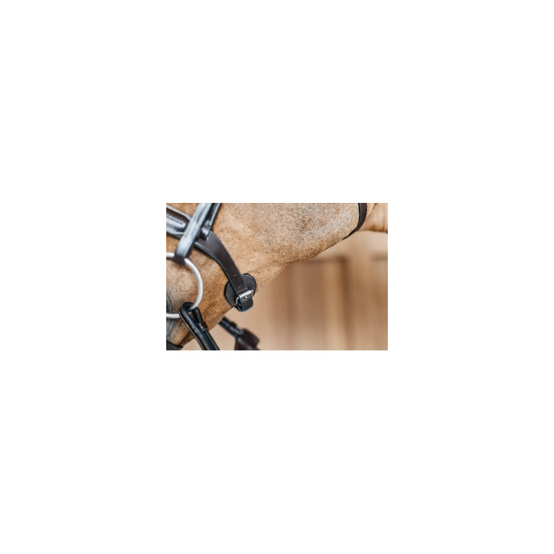 Round leather bridle - Dy'on