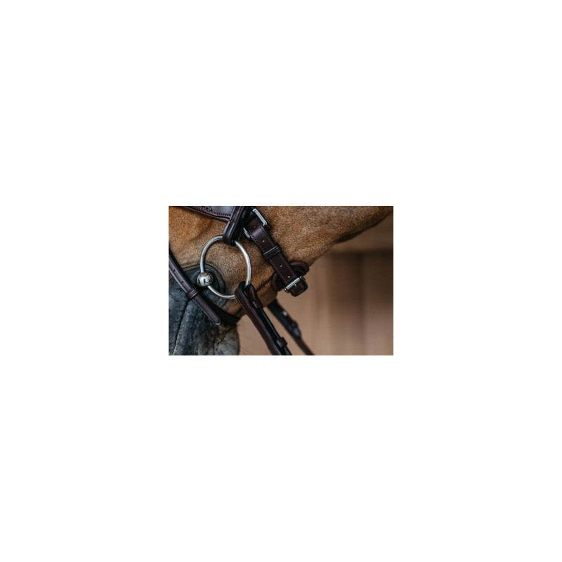 Braided combined muzzle bridle with Pullback - Dy'on