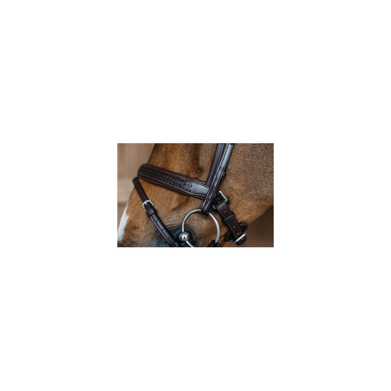 Braided combined muzzle bridle with Pullback - Dy'on