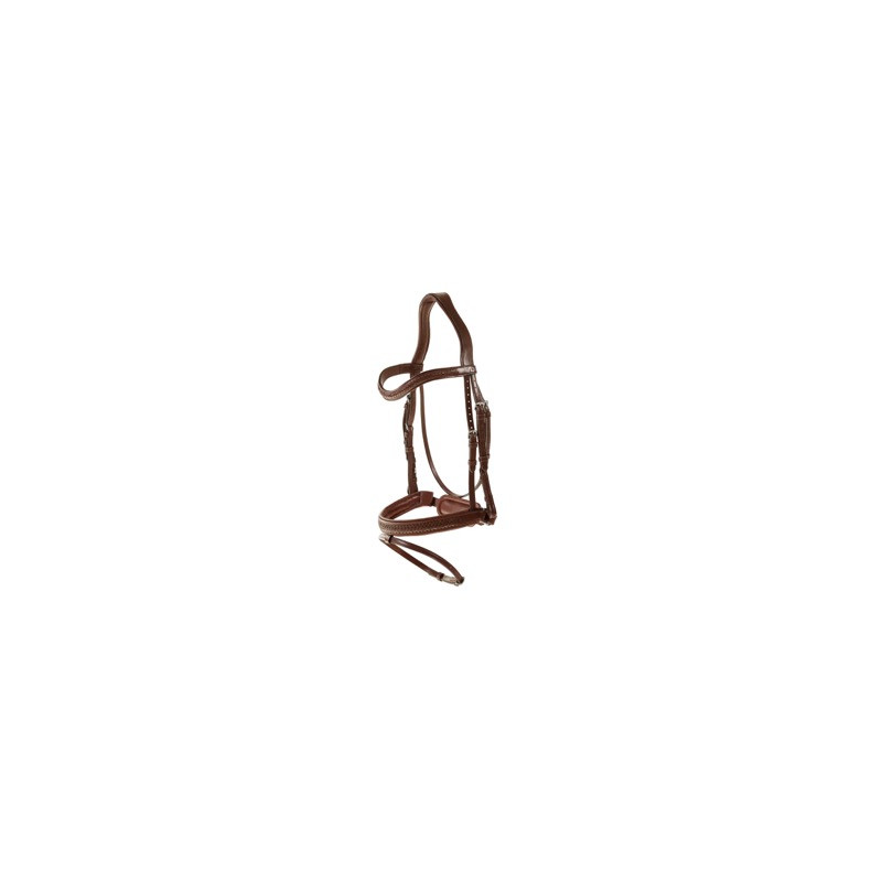 Braided combined muzzle bridle with Pullback - Dy'on