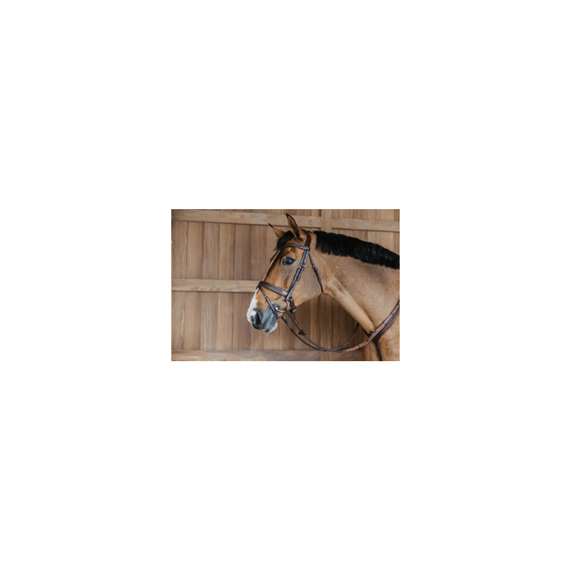 Braided combined muzzle bridle with Pullback - Dy'on