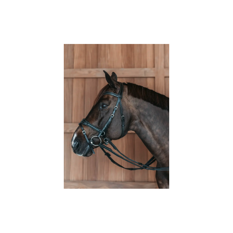 Bridle D Motion - Working by Dy'on
