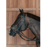 Bridle D Motion - Working by Dy'on