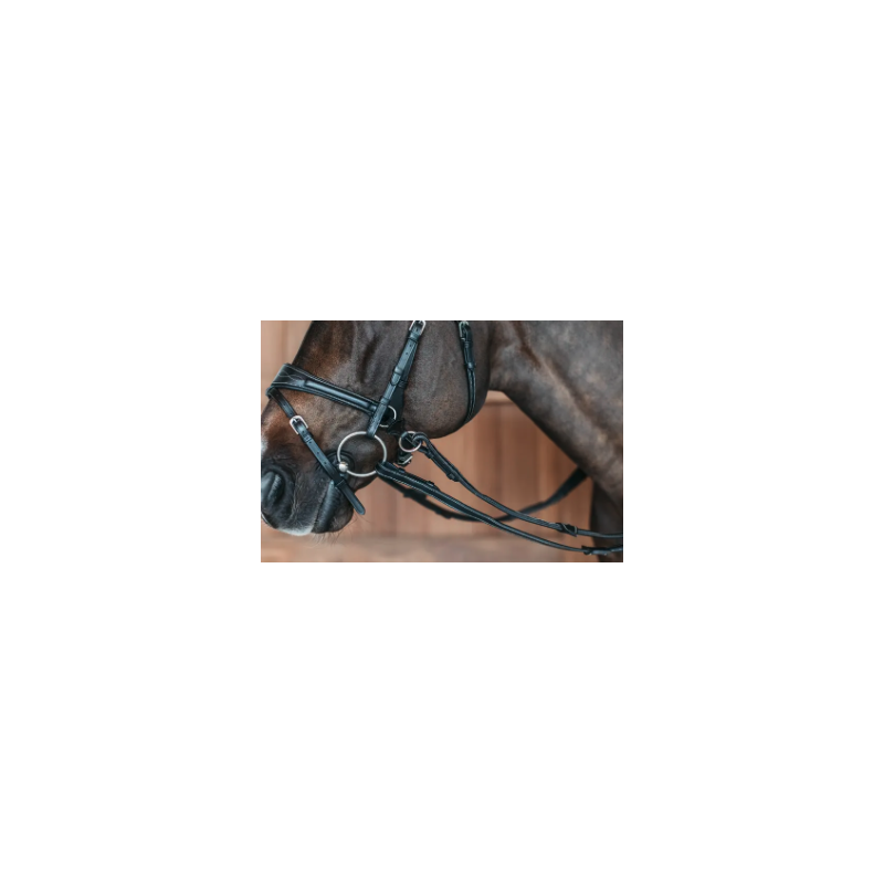 Bridle D Motion - Working by Dy'on