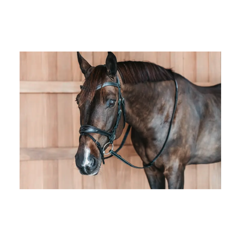 Bridle D Motion - Working by Dy'on
