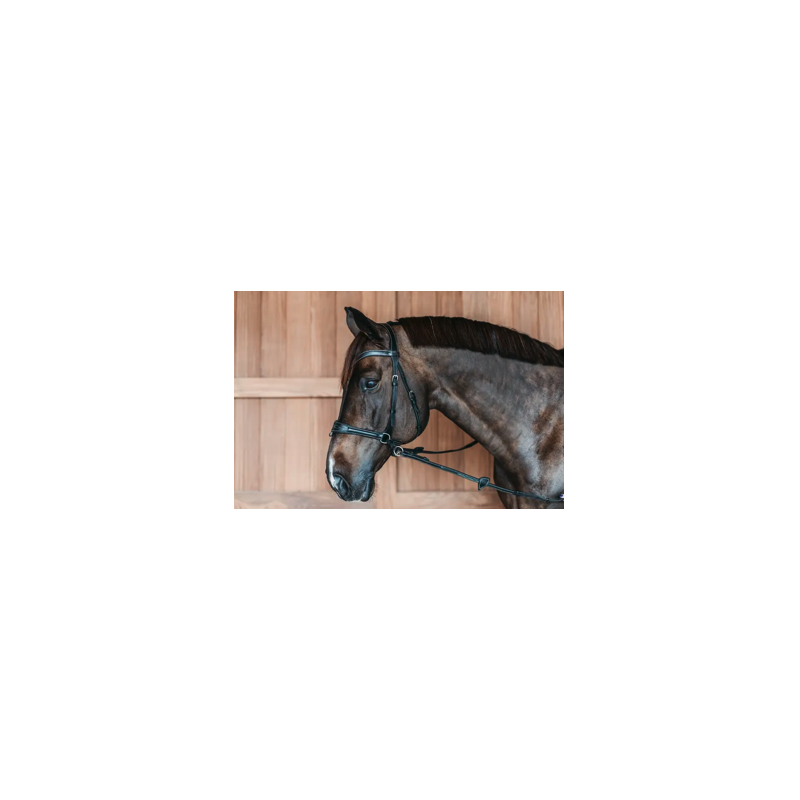 Bridle D Motion - Working by Dy'on