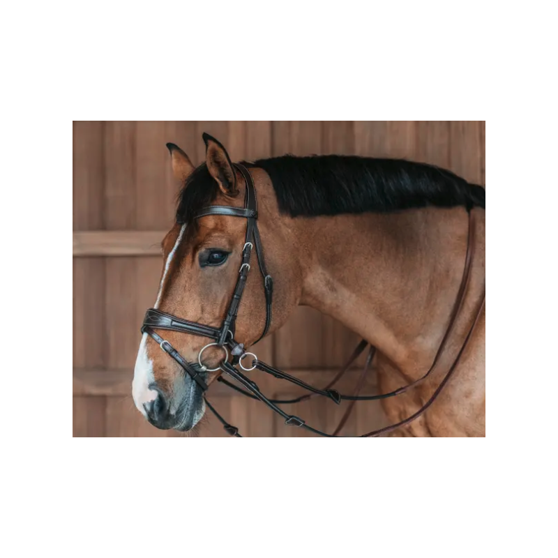 Bridle D Motion - Working by Dy'on