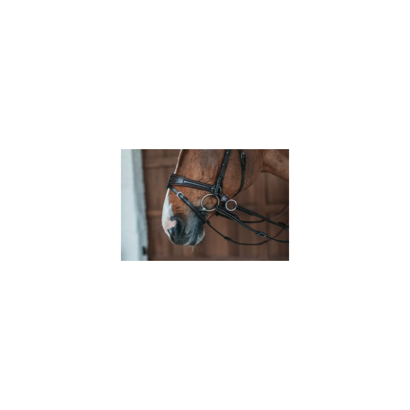Bridle D Motion - Working by Dy'on