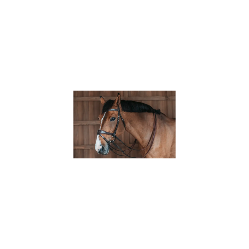 Bridle D Motion - Working by Dy'on