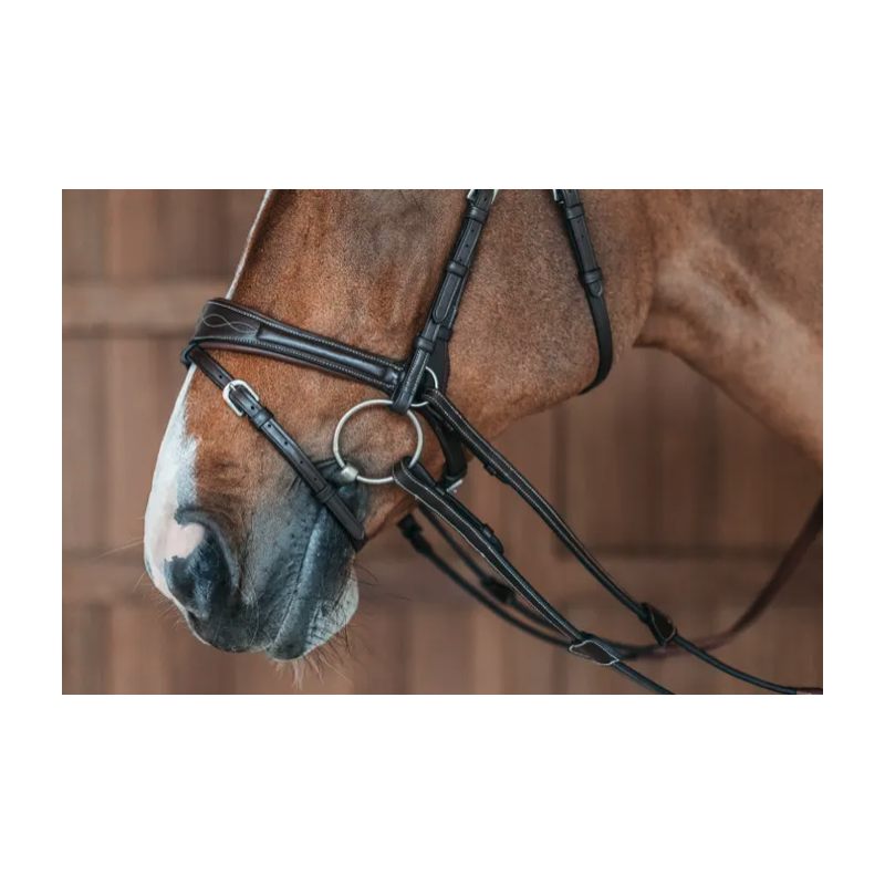 Bridle D Motion - Working by Dy'on