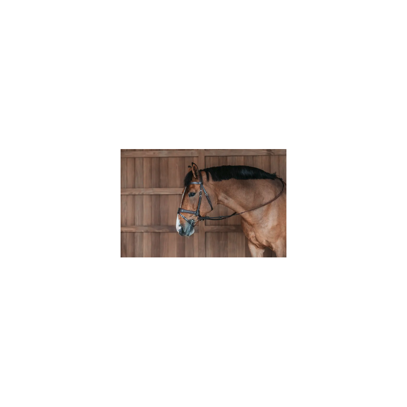 Bridle D Motion - Working by Dy'on