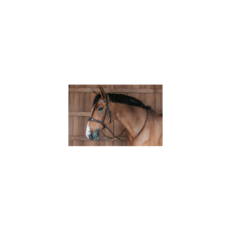 Bridle D Motion - Working by Dy'on