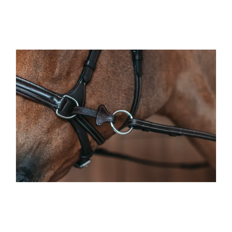 Bridle D Motion - Working by Dy'on