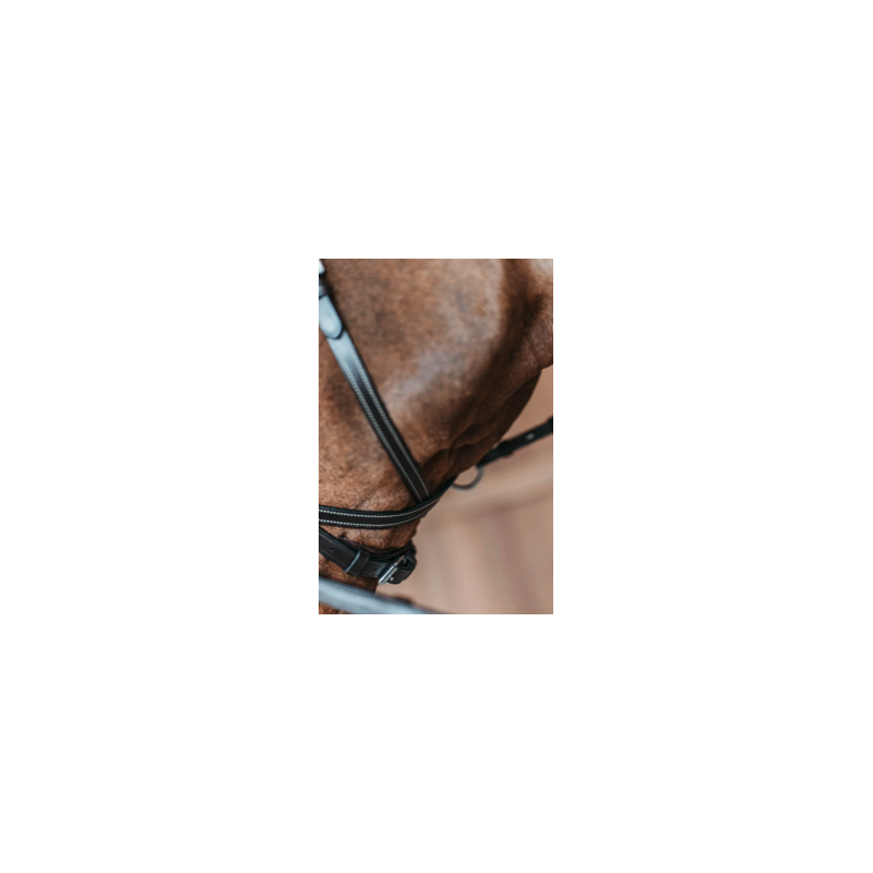 Bridle D Motion - Working by Dy'on