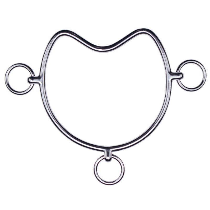 Chifney Bit Metalab