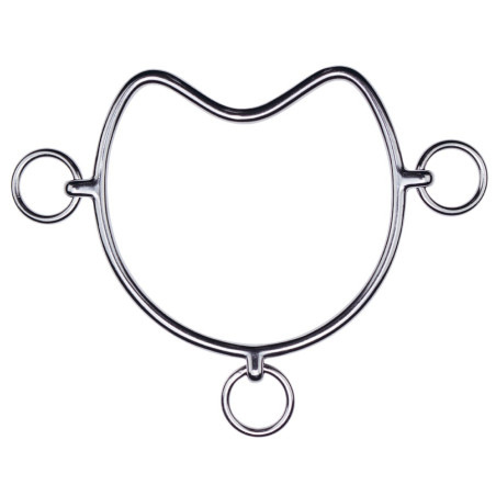 Chifney Bit Metalab