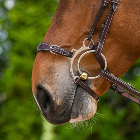 hackamore type noseband - Jump'in