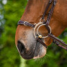 Muserolle type Hackamore - Jump'in