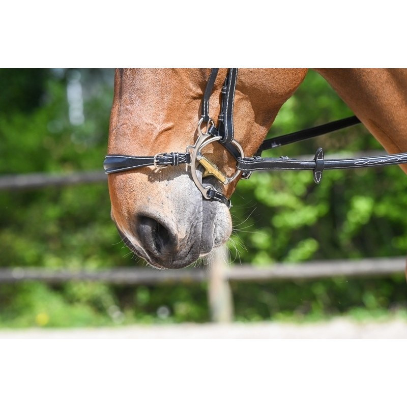 Muserolle type Hackamore - Jump'in