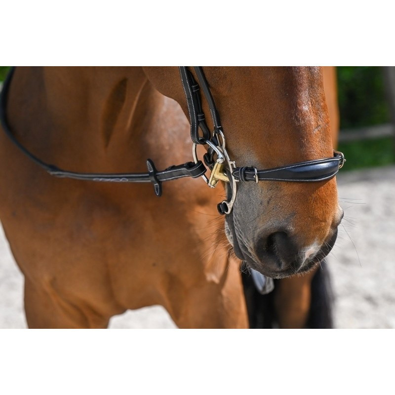 Muserolle type Hackamore - Jump'in