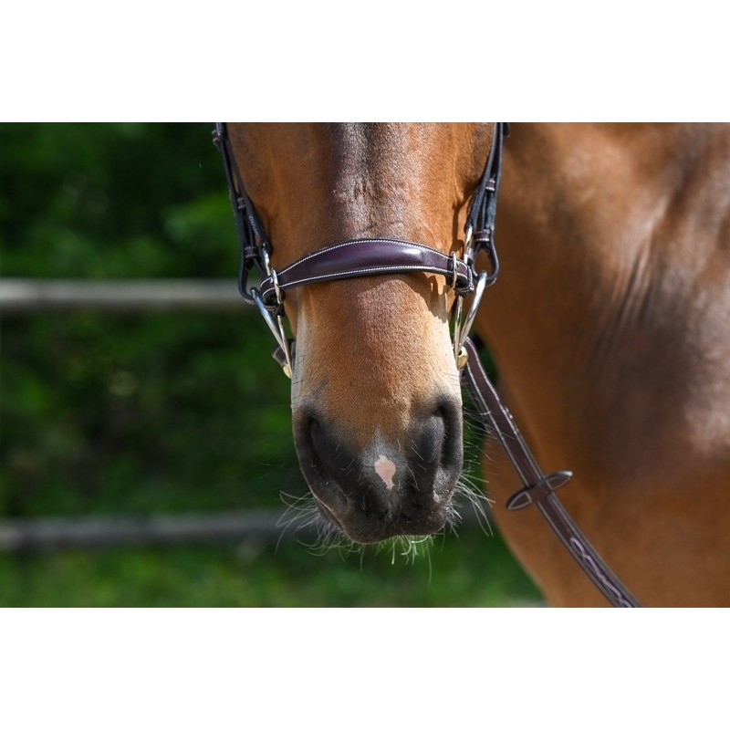 Muserolle type Hackamore - Jump'in