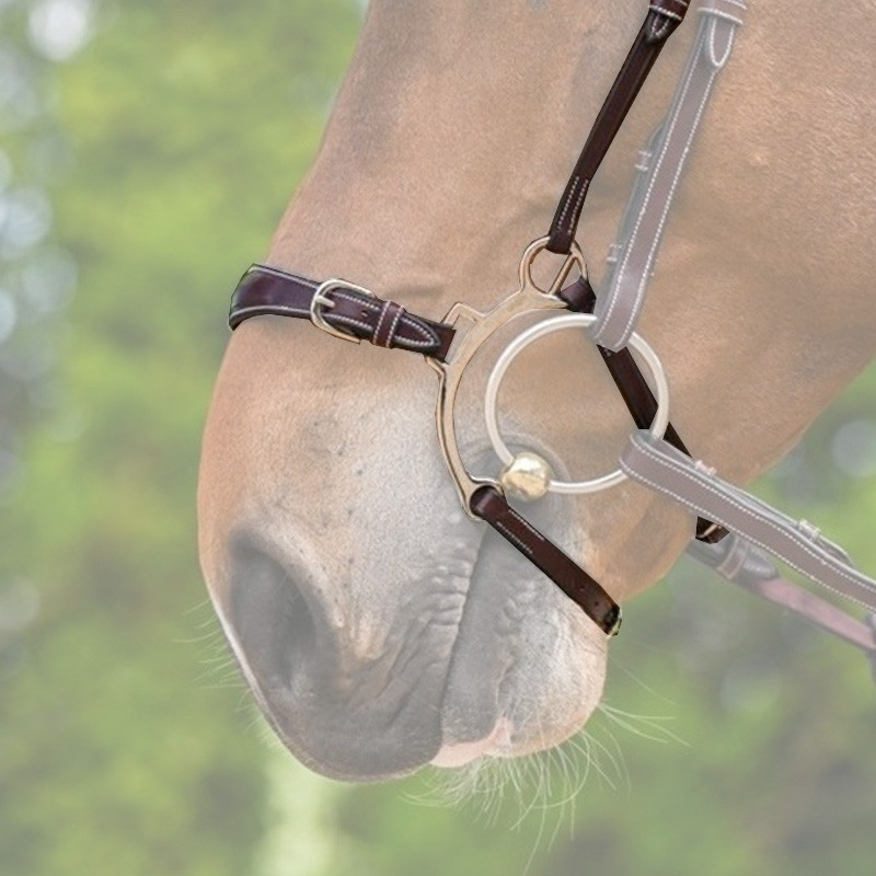 Muserolle type Hackamore - Jump'in