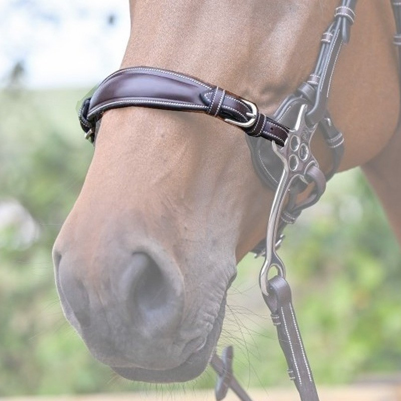 Leather hackamore nose