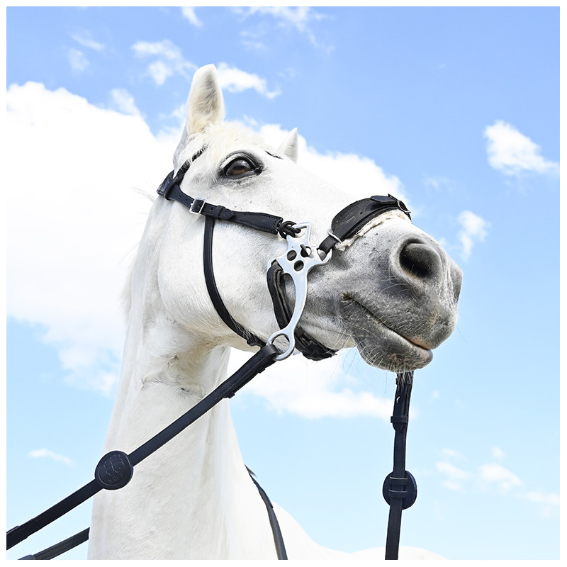 Bridle "evolution" for Hackamore by IHWT