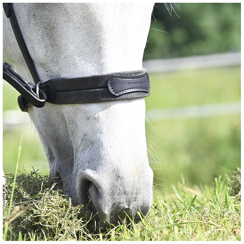 Bridle "evolution" Bitless Soft T contact by IHWT