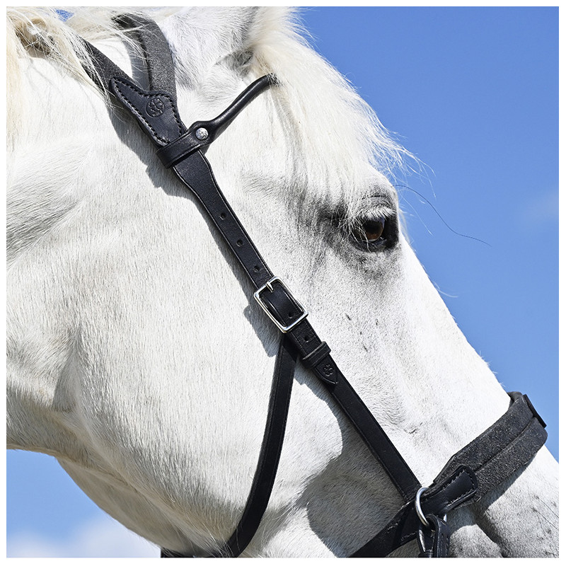Bridle "evolution" Bitless Soft T contact by IHWT