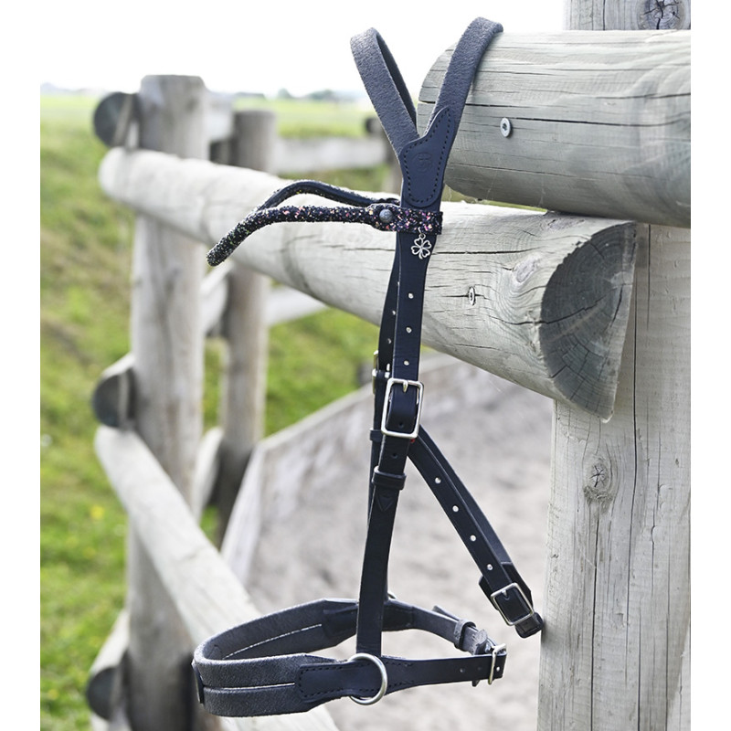 Bridle "evolution" Bitless Soft T contact by IHWT