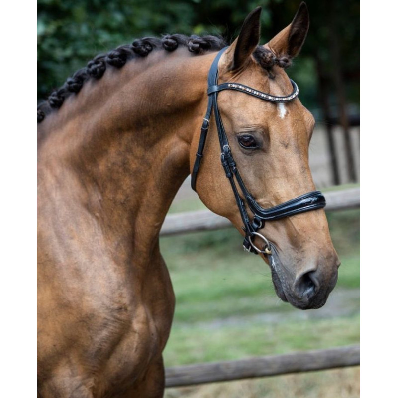 Noseband model S5 Weymouth Bridle to fit