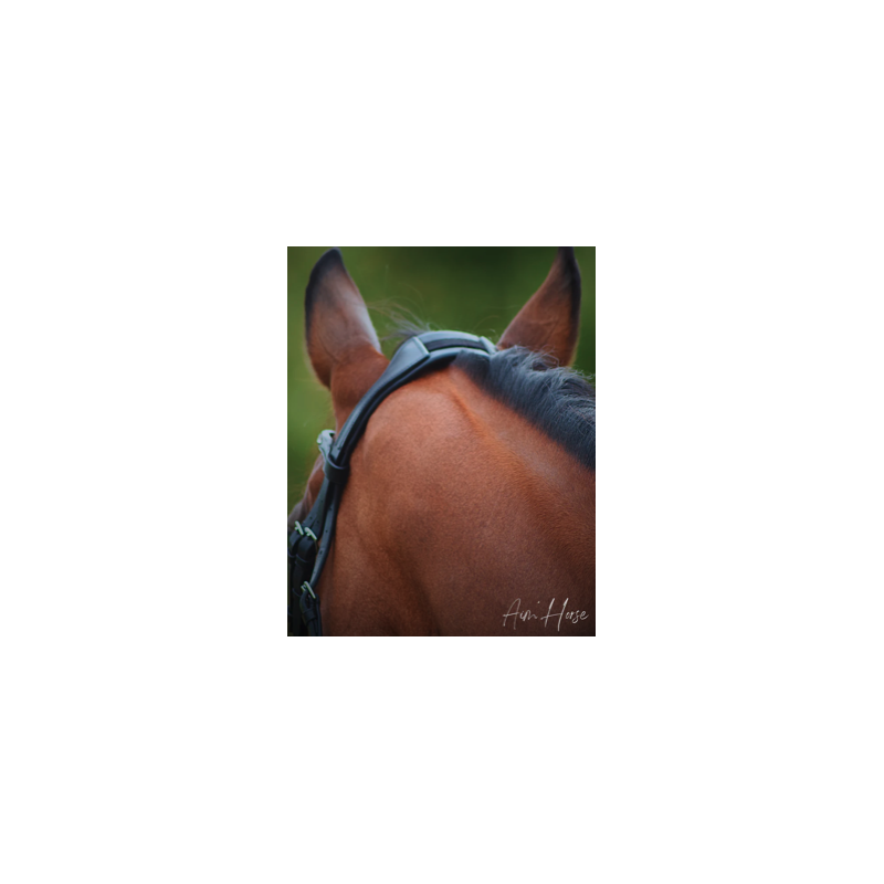 Head piece Advantiv + Aim Horse