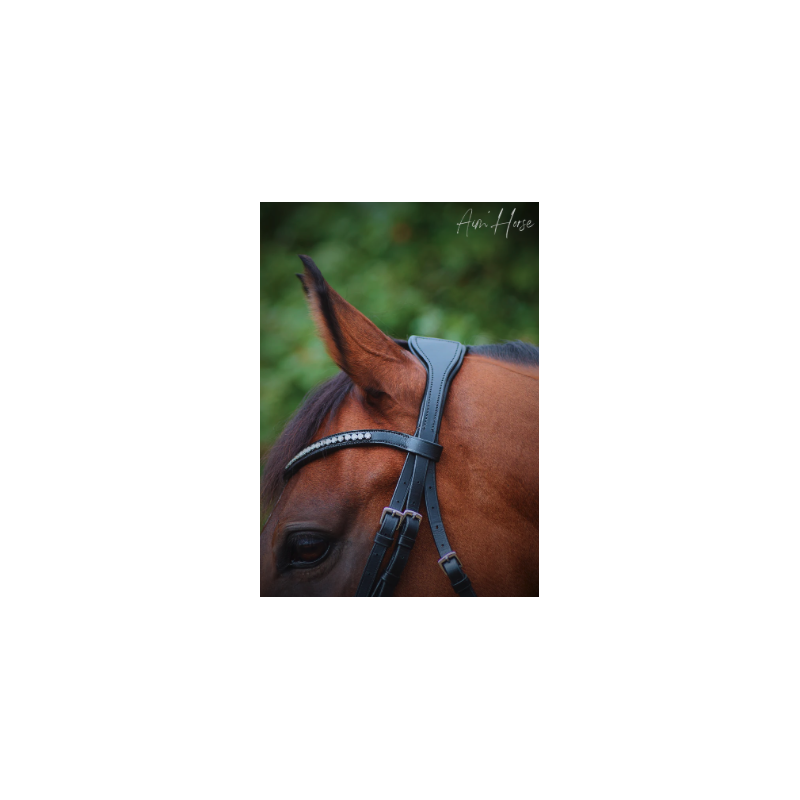 Head piece Advantiv + bridle Aim Horse