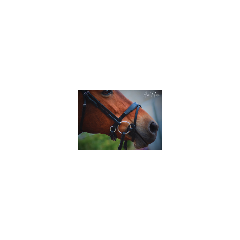 Cheek Pieces Soft + - Aim'Horse