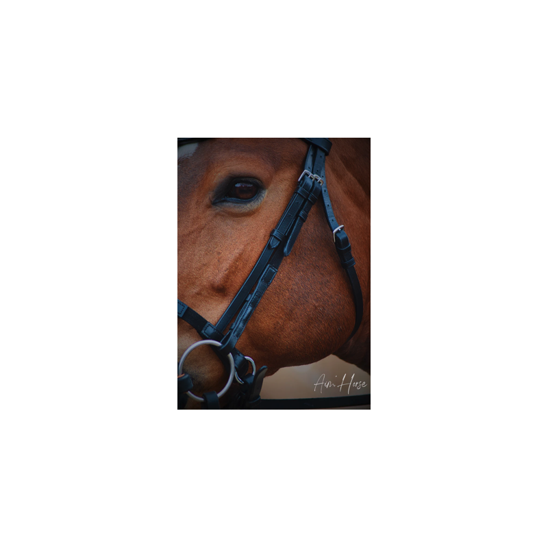 Cheek Pieces Soft + - Aim'Horse