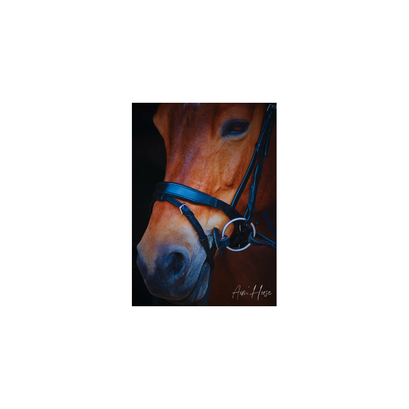 Muserolle S-Move - Aim Horse