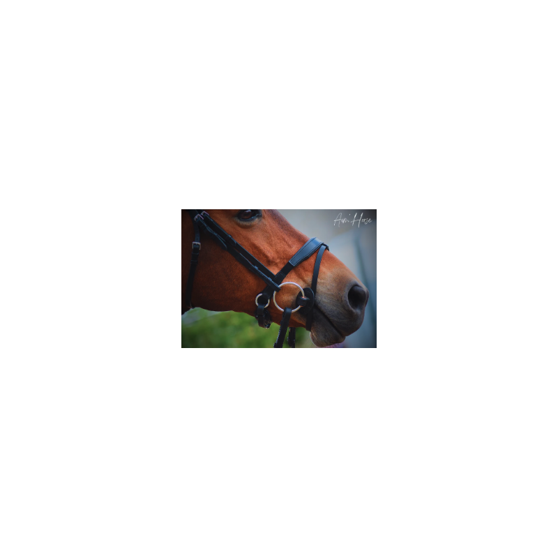 Muserolle S-Move - Aim Horse