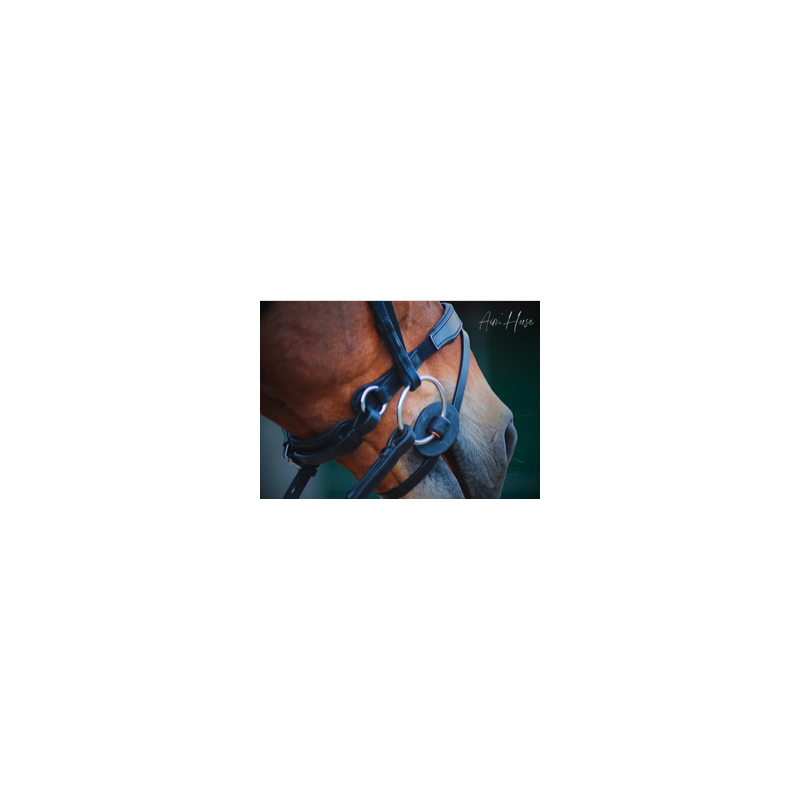 Muserolle S-Move - Aim Horse