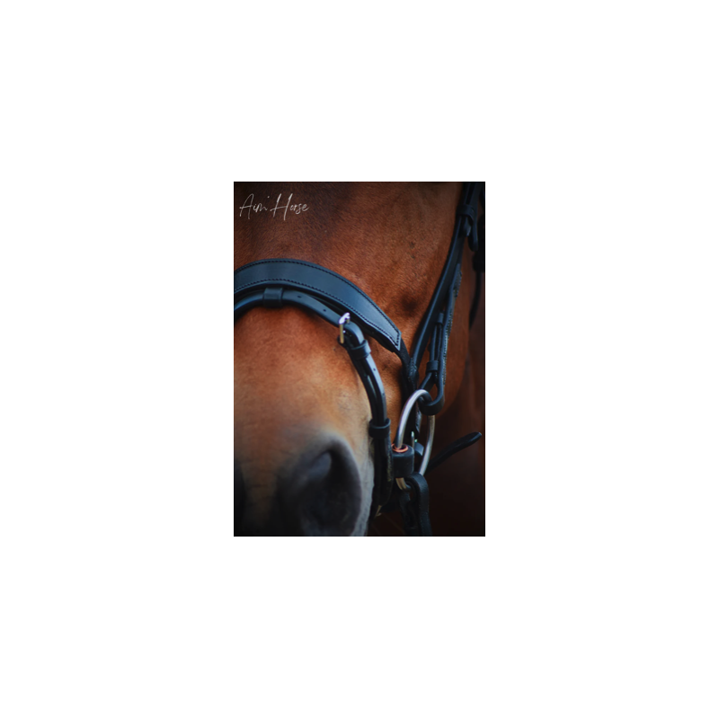 S-Move Noseband - Aim'Horse
