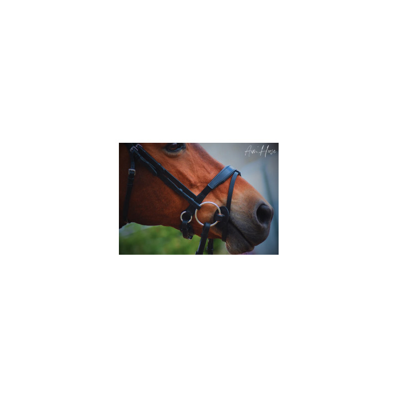 Ultim+ Snaffle - Aim'Horse