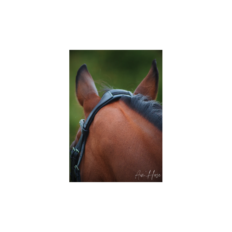 Ultim+ Snaffle - Aim'Horse