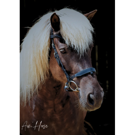 Captiv+ Snaffle - Aim'Horse