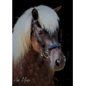 Captiv+ Snaffle - Aim'Horse