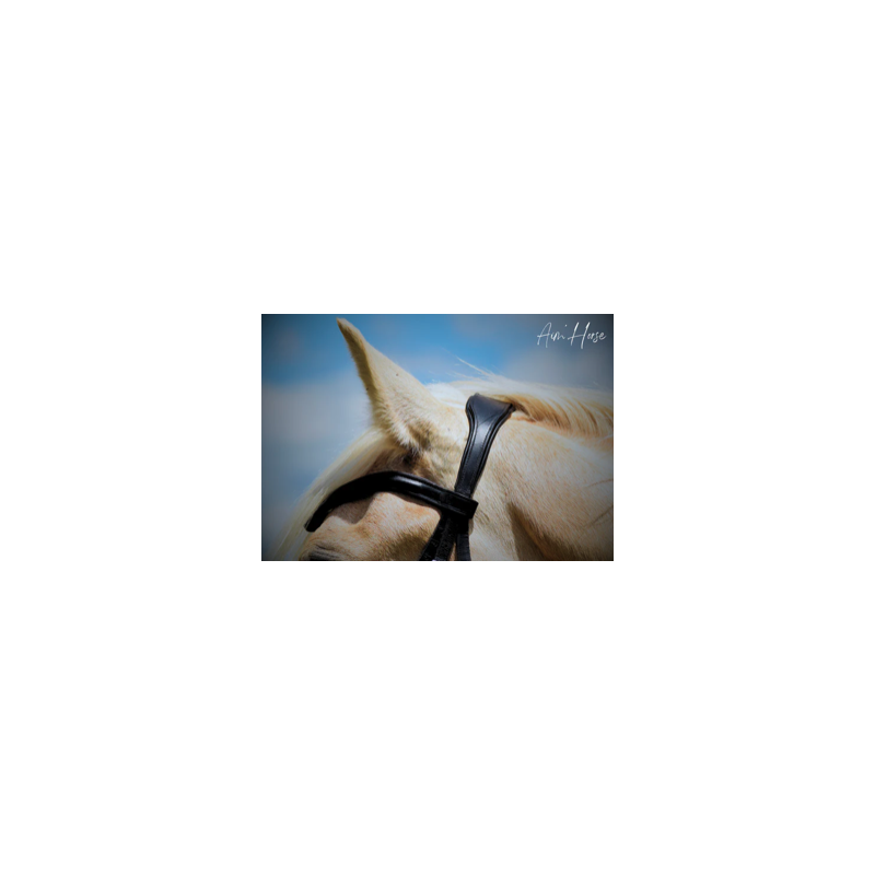 Captiv+ Snaffle - Aim'Horse