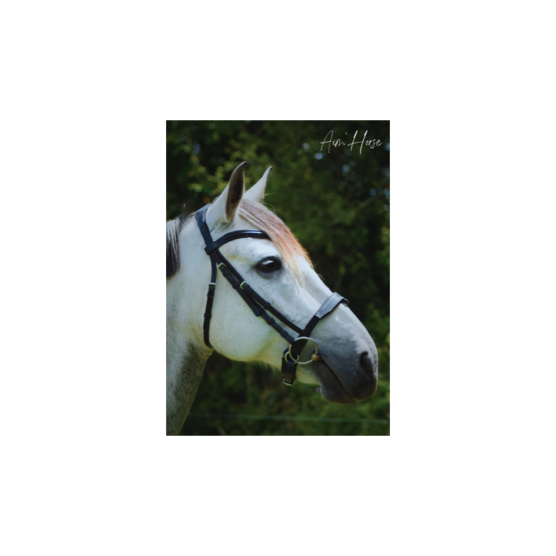 Captiv+ Snaffle - Aim'Horse